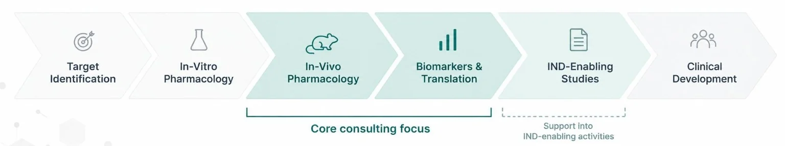 Six stages from Target Identification through Clinical Development. Core consulting focus: In-Vivo Pharmacology and Biomarkers & Translation; support into IND-enabling activities. Clinical development is outside consulting scope.
